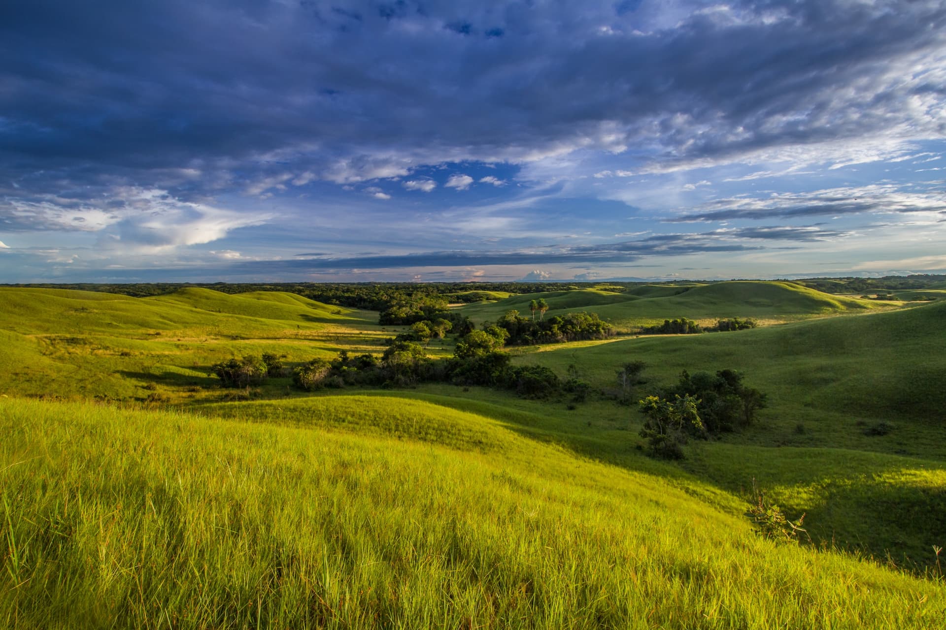 Los Llanos