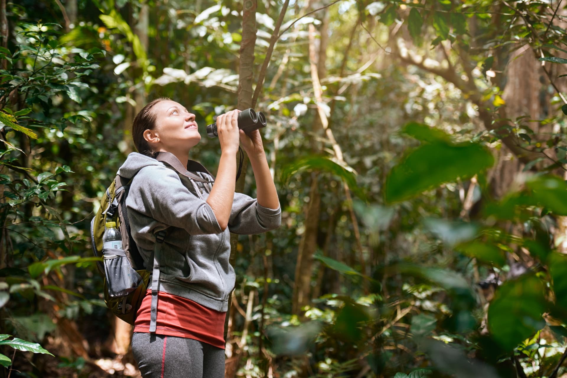 Bird Watching: dove osservare gli uccelli in Colombie?